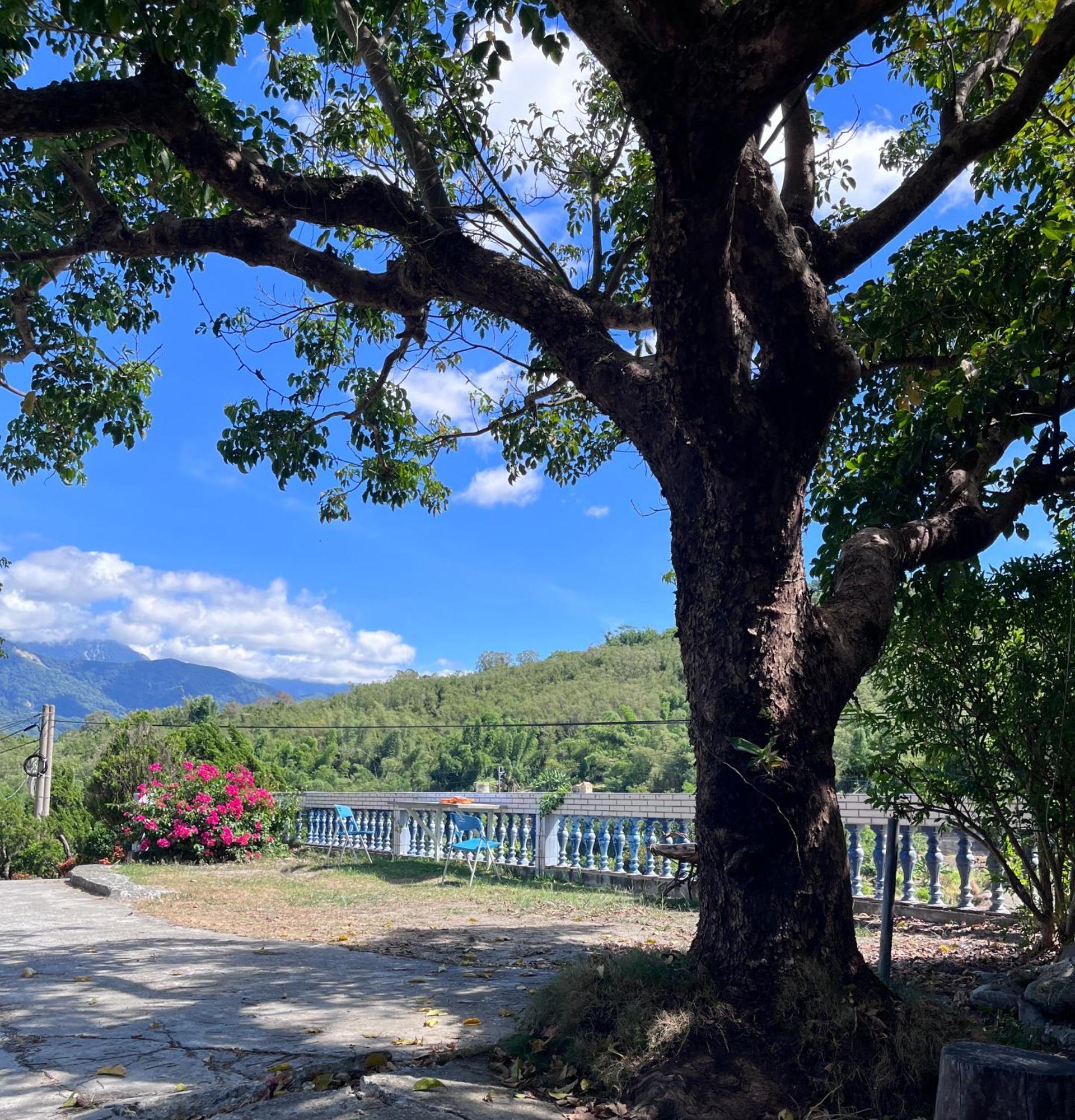 十畝田山莊會館 Hotel Chishang Buitenkant foto