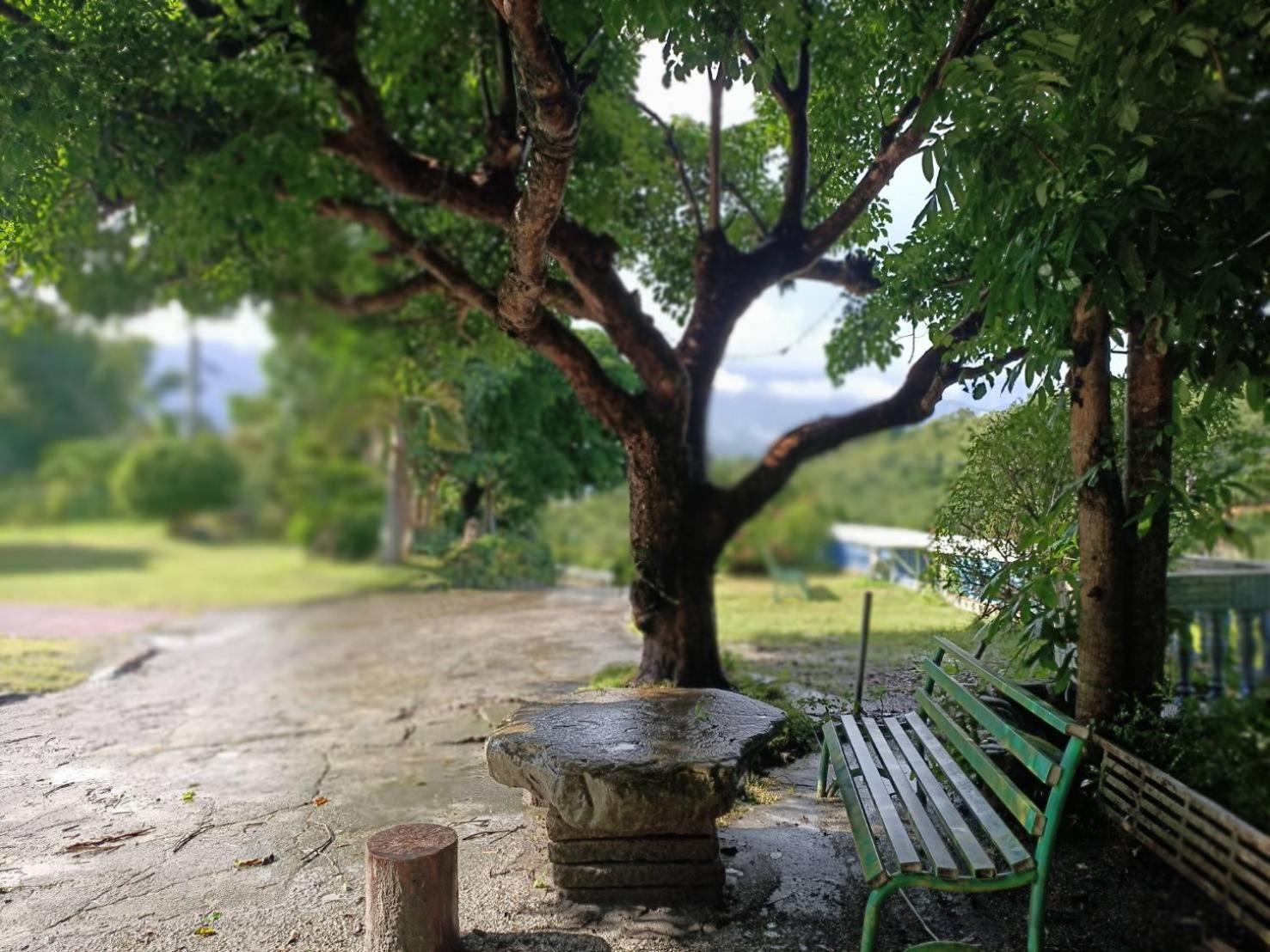 十畝田山莊會館 Hotel Chishang Buitenkant foto