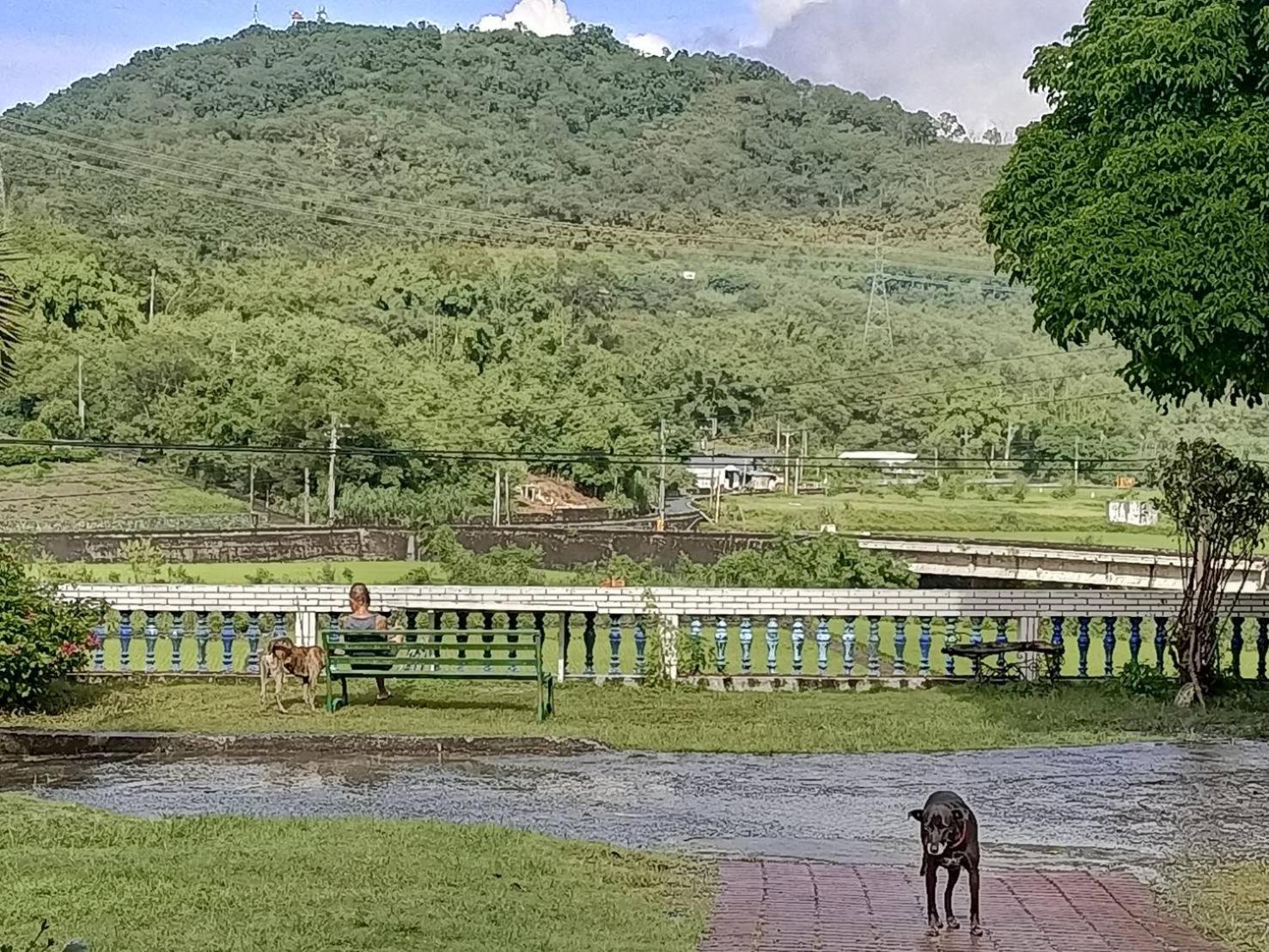 十畝田山莊會館 Hotel Chishang Buitenkant foto